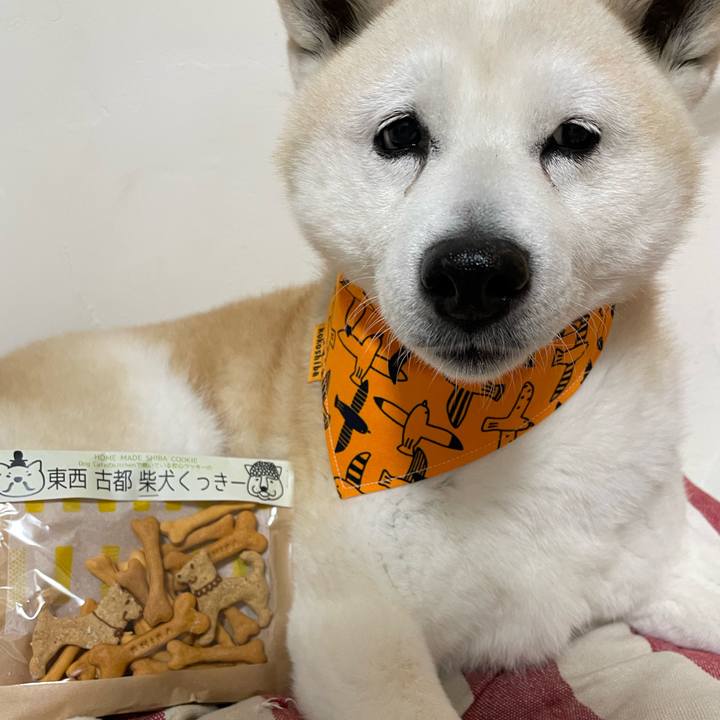 Fbdfe326 7077 4dc3 afe1 7f71f9aa72c1 1649288011752