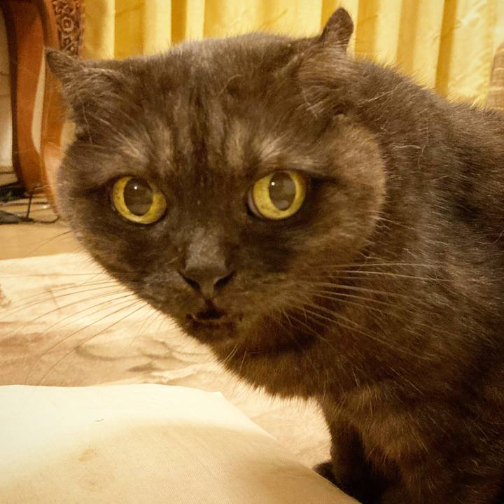 Fbdff798 ec06 4211 b5b8 57e3dd5a9846 1596646085872