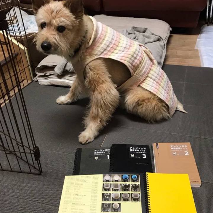 Fbe04738 a264 40d0 a546 434aa7a15ef4 1769392918052