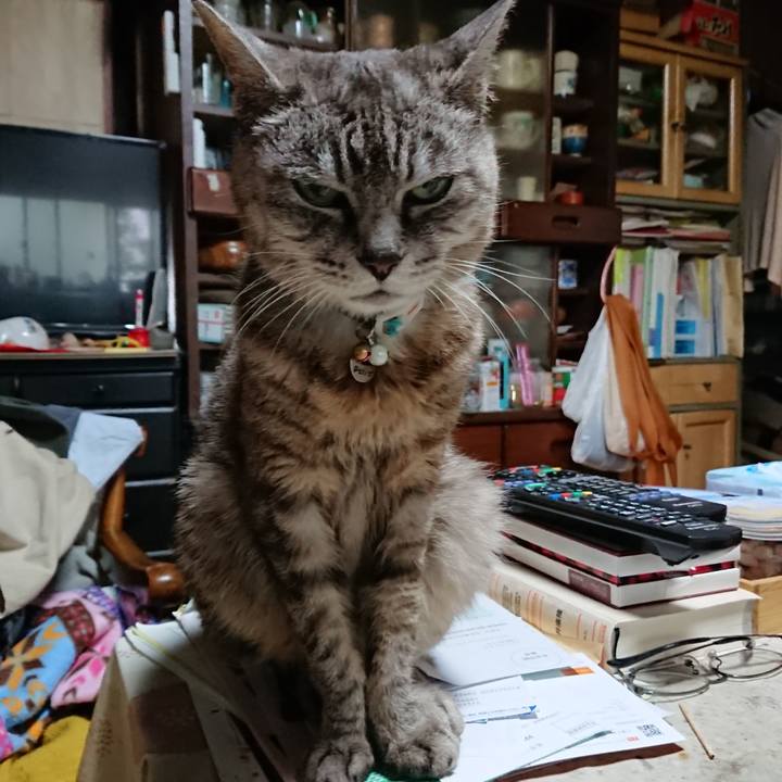 Fbe06778 5c57 4fdf 862c 9ce2e6e419d3 1567889005555