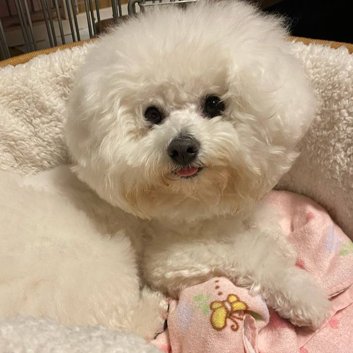 Fbe09272 9add 4bfb 8247 bc0147b54bb6 1607431002322