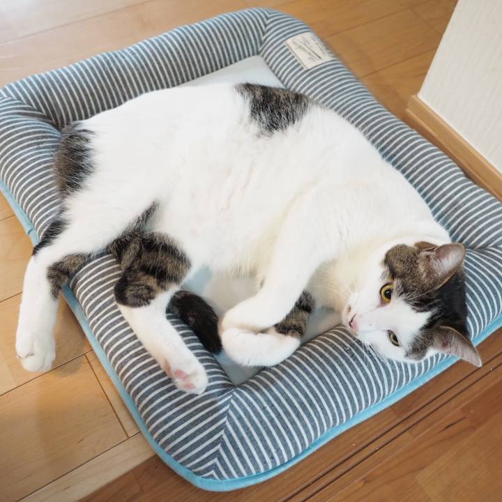 Fbe0a60f 9d4d 4087 ad3c 31e67eba1f89 1535499721562