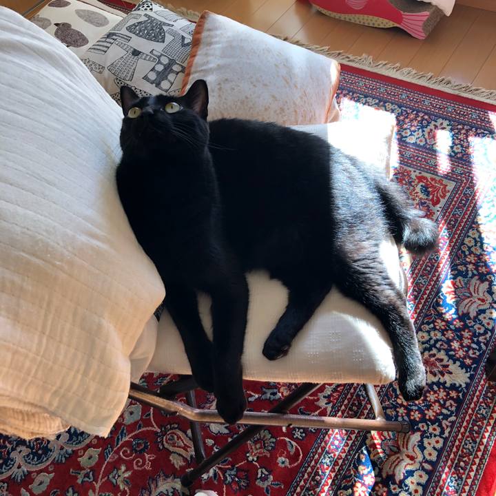 Fbe0cf33 e14b 414b 9937 2d12fb3beadf 1542946846375