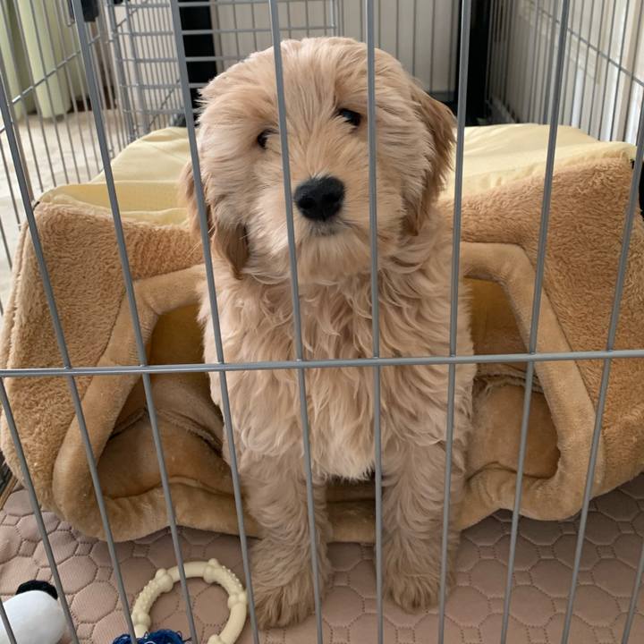 Fbe0e8e0 fd74 40d8 85ff 63bf9c78328b 1681175555959