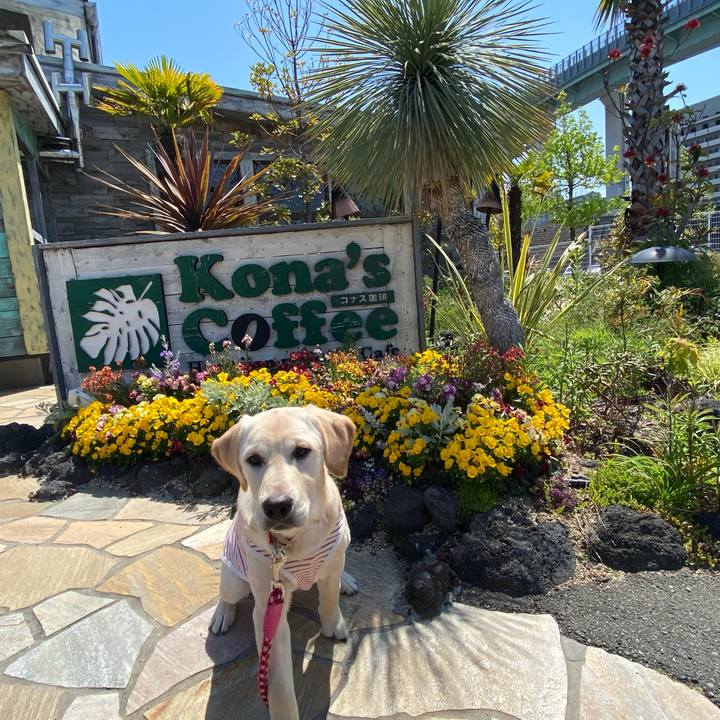 Fbe103e9 7406 4a5e aa4e b96cca1bbfe2 1618906576344