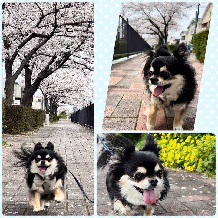 Fbe14493 8510 4d22 b7c4 72f8c8cef721 1712460611921