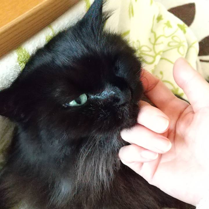 Fbe14d6d c699 474b b65e 779a3f1dab99 1604618061470