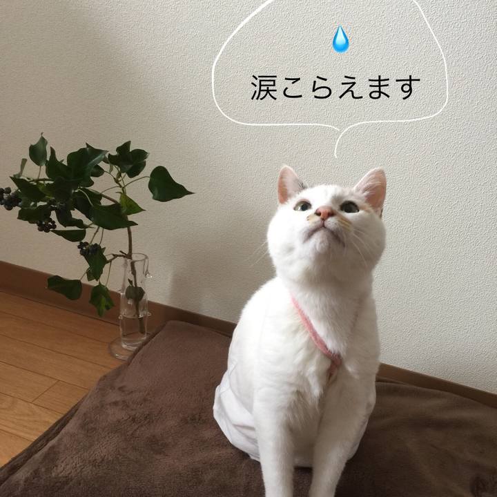 Fbe186ec bcf5 43f5 ae24 f12d2af13ed0 1519214288032