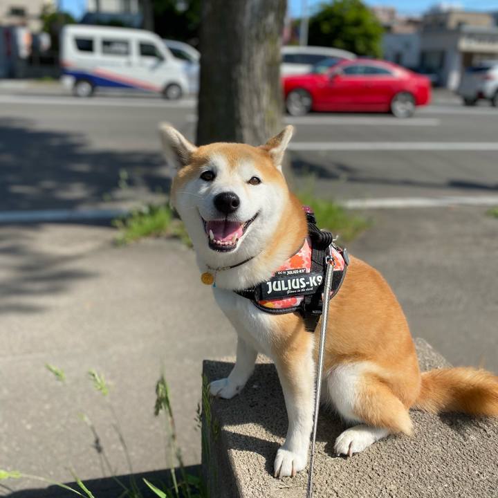 Fbe1918a d947 4374 987d 09355663f36b 1624326081975