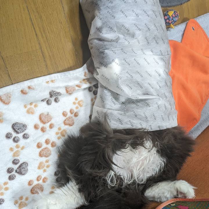 Fbe1d25b 9ce4 4661 9127 b37a5ea93364 1705619424953