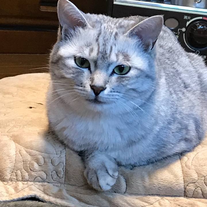 Fbe1d347 235e 4737 a16d abc140c7b066 1512945669617