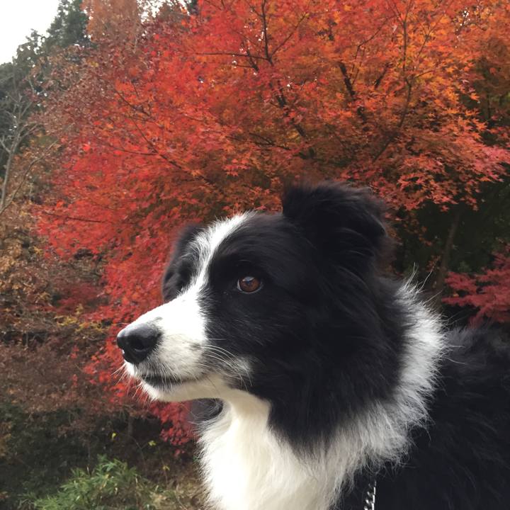 Fbe1ed29 5c94 4145 9f68 7d43935ae684 1574667054131