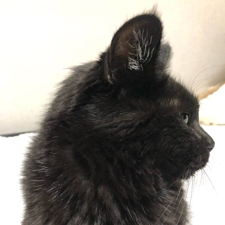 Fbe1f9d4 6784 4f55 aecb 6b0c7e399b5d 1629546997621