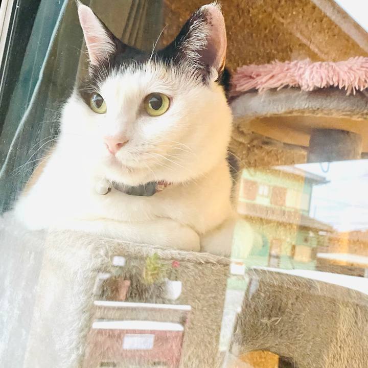 Fbe232b8 34d4 43e9 83e7 68bb2050c22e 1688502912105