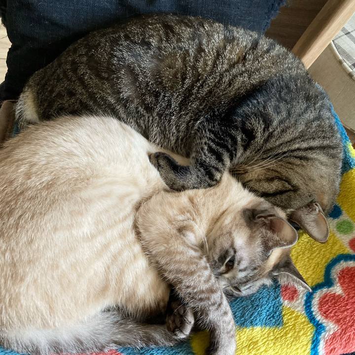 Fbe23d78 861a 4a34 a8b3 05b7741ce9b5 1613193727859