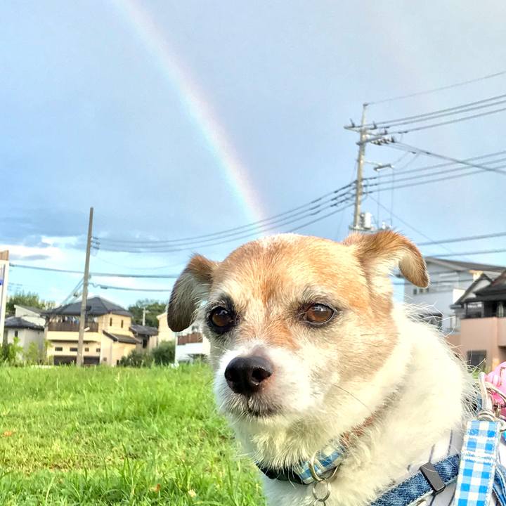 Fbe247b5 c902 4747 8780 e2dc9f527d19 1628545503209