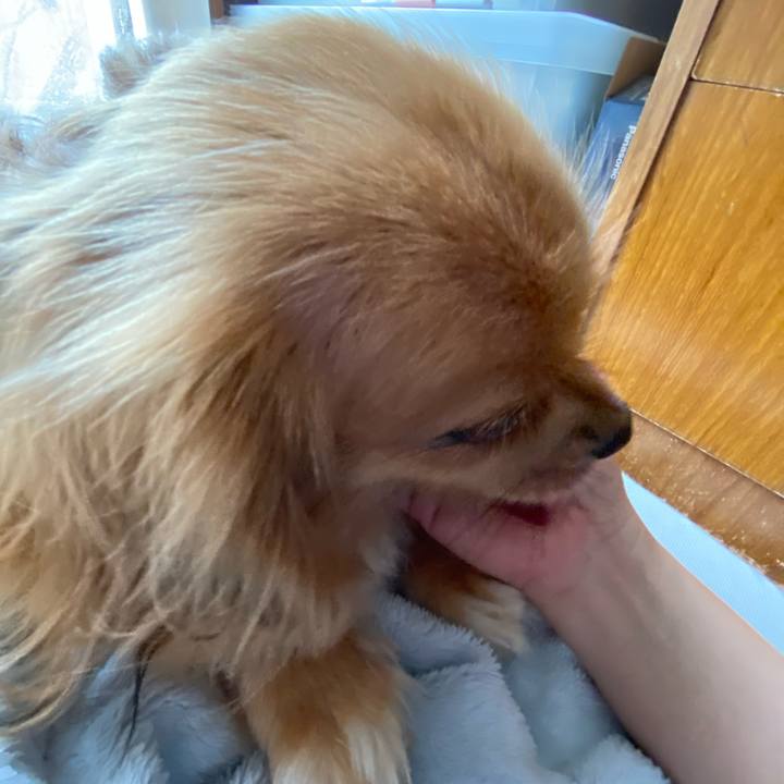 Fbe255e1 7334 44be a26d e19985995ccb 1595723295373