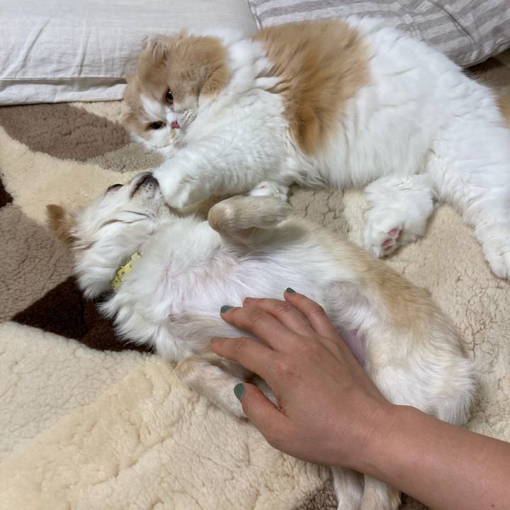 Fbe275e7 48fc 463e b809 7a483379654c 1603632332552