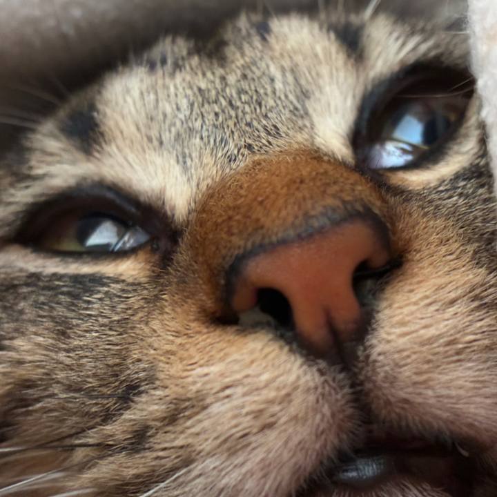 Fbe2a5f9 783b 4b10 b147 e1d75ed3bfbc 1748140904265