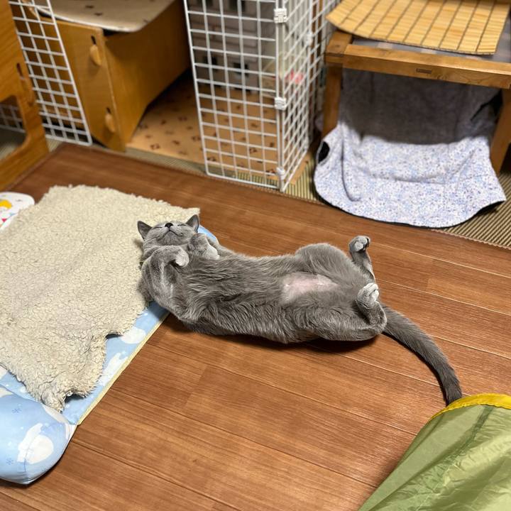 Fbe2c3e5 cd5c 4b95 8186 3d164fc524e0 1644644673272