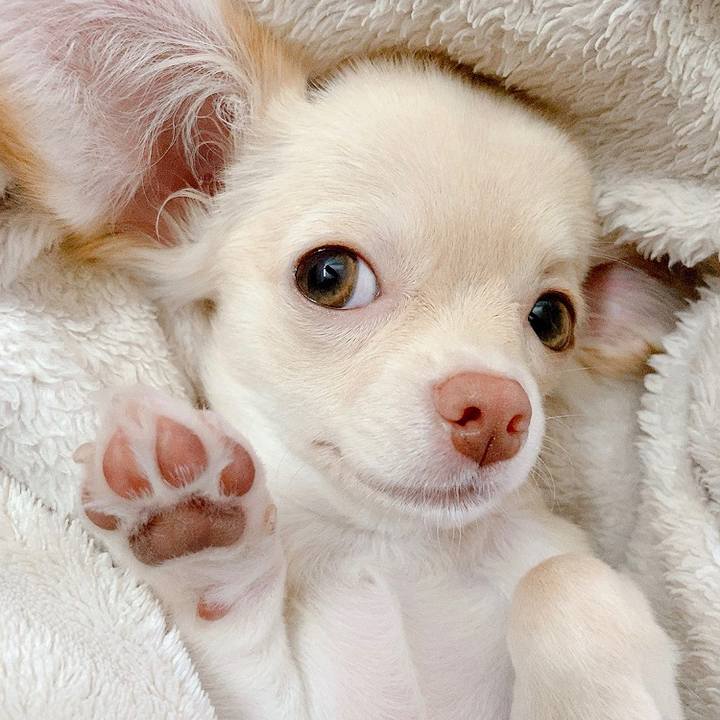 Fbe2d87e cb8c 40e0 a3aa 8154cbe3d5e7 1594005446842