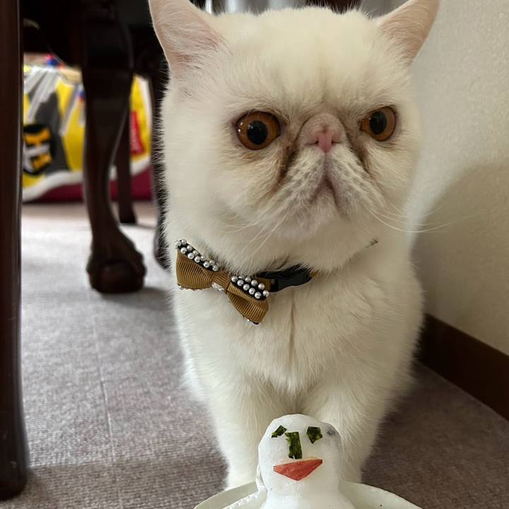 Fbe2ec6c db8c 4548 9104 27ff12260ba3 1770532496648