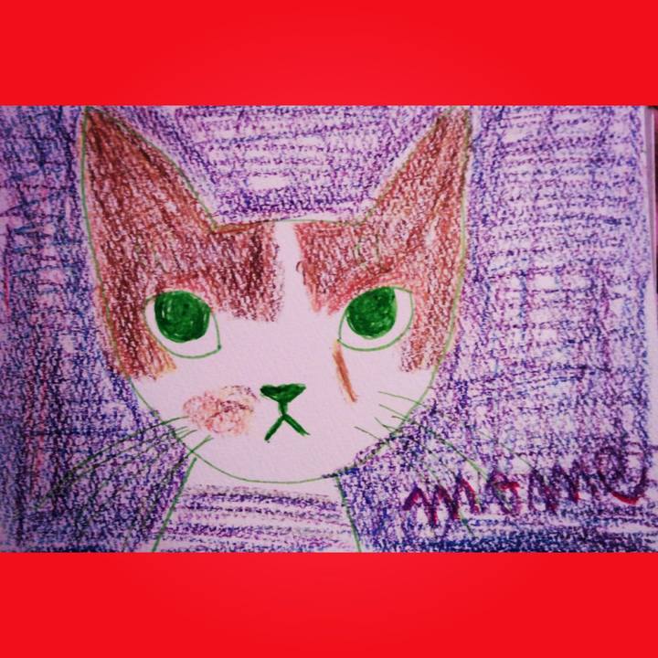 Fbe2ff5e a7ec 4763 b761 e83e7a0a5934 1530880024641