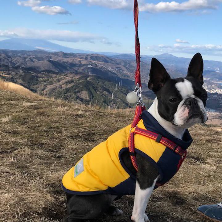 Fbe33222 5781 49fc a3ed 90cb50dad34e 1515244001703