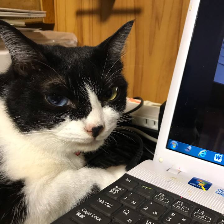 Fbe33e73 98c5 4112 a451 eeb83981943c 1565006344456