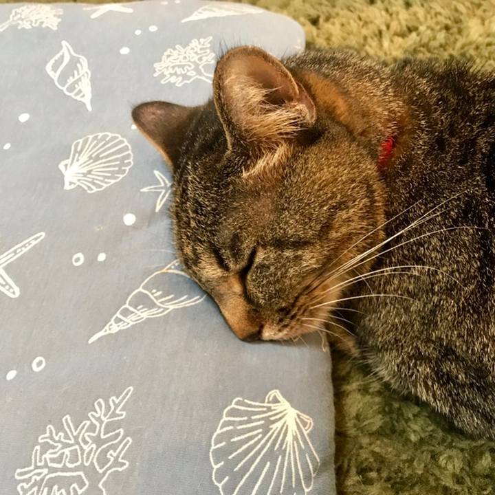 Fbe34462 b95f 462d 8125 5c55fbf9b6a8 1558487658670