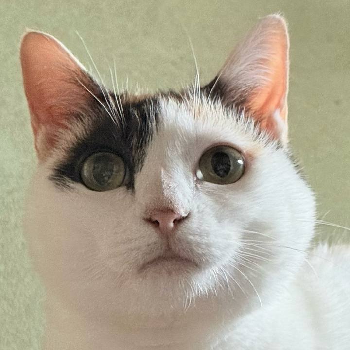 Fbe3c545 dd87 4c33 8d8d 578218b886a6 1752544979639