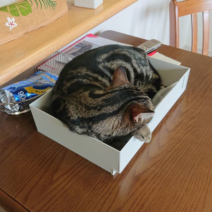 Fbe3dde5 fe6a 40e7 8484 89355364332e 1562217594792