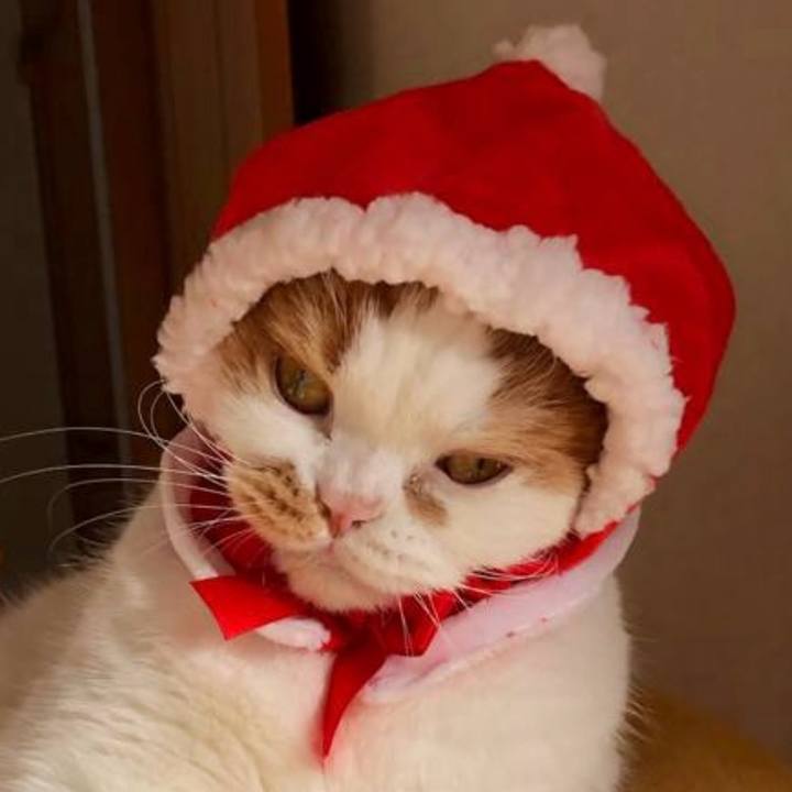 Fbe3e9ff 6963 4efb 9609 2838b9fe654f 1766668567786