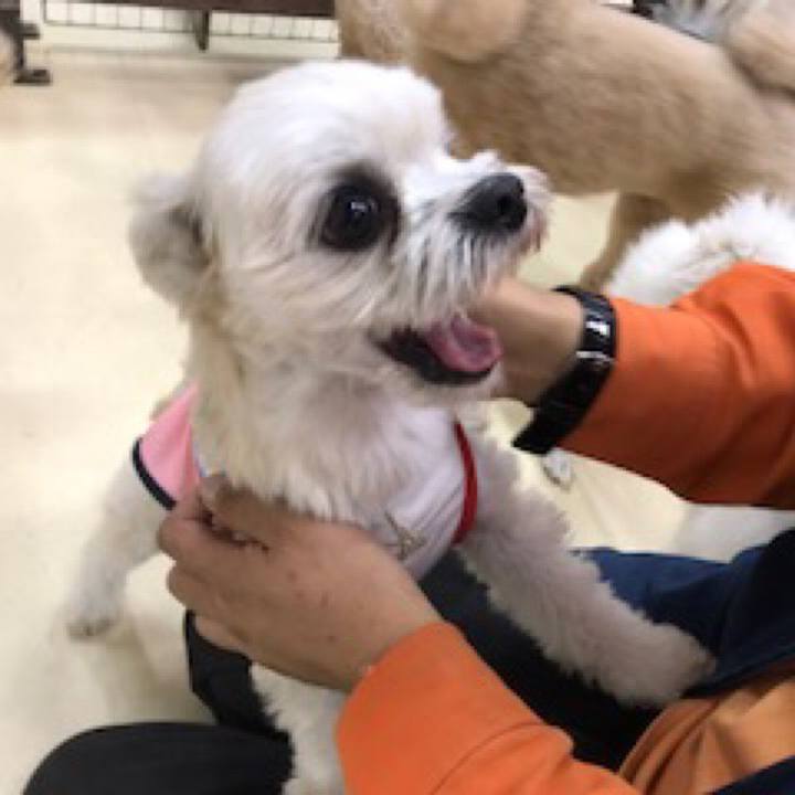 Fbe3ea57 9ed7 4acd a7ae a1dbada49611 1542626942058