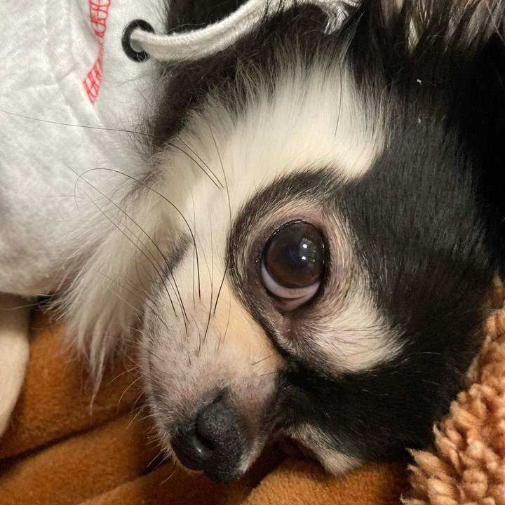 Fbe3f9d9 c404 4923 94fe 57423120cb43 1642947019656