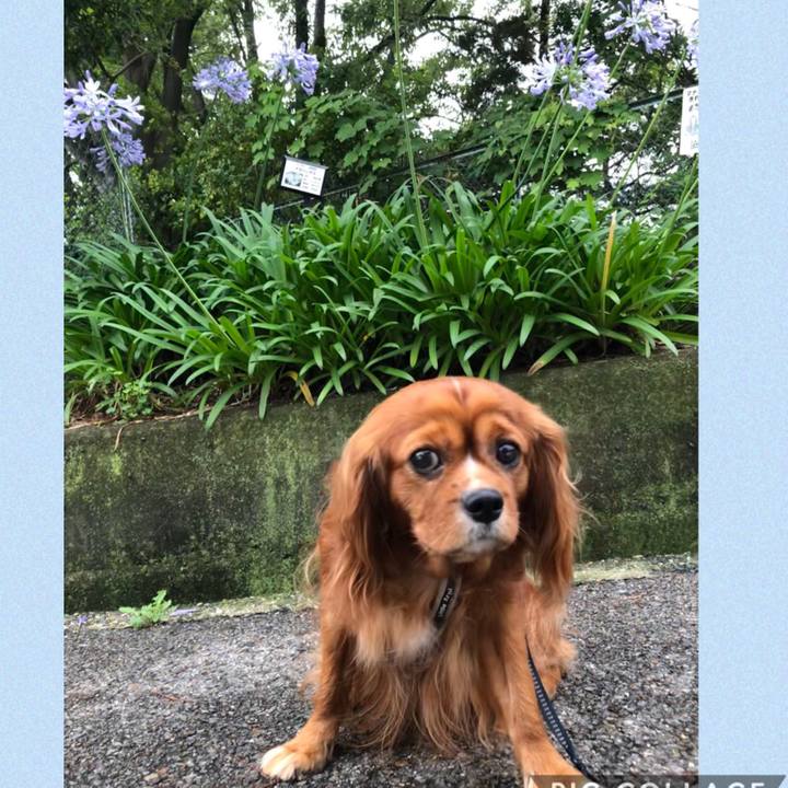 Fbe408fe 2efc 4d5f 999f 305ec0c800ab 1593905540797