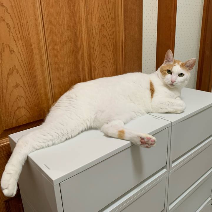 Fbe40e1b 1ba6 4b77 94db 255749b7c186 1629890931029