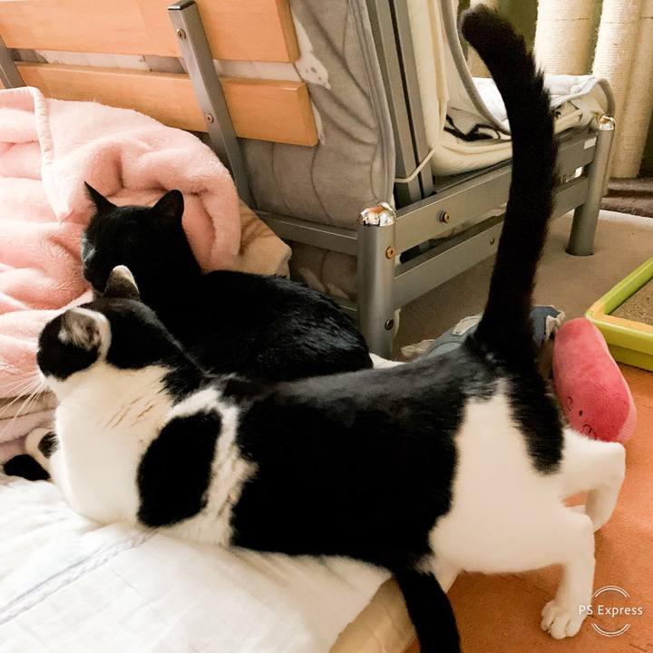 Fbe431c0 315d 46d9 99e6 359d8170baa8 1546824029328