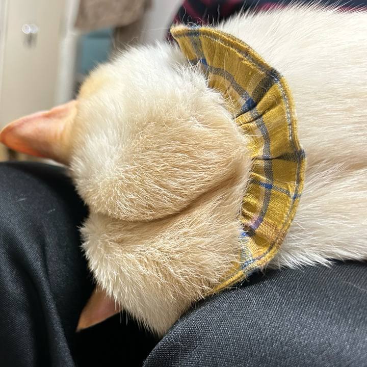 Fbe43368 5c9a 4442 a3ca f8f5e1da949c 1764161876942