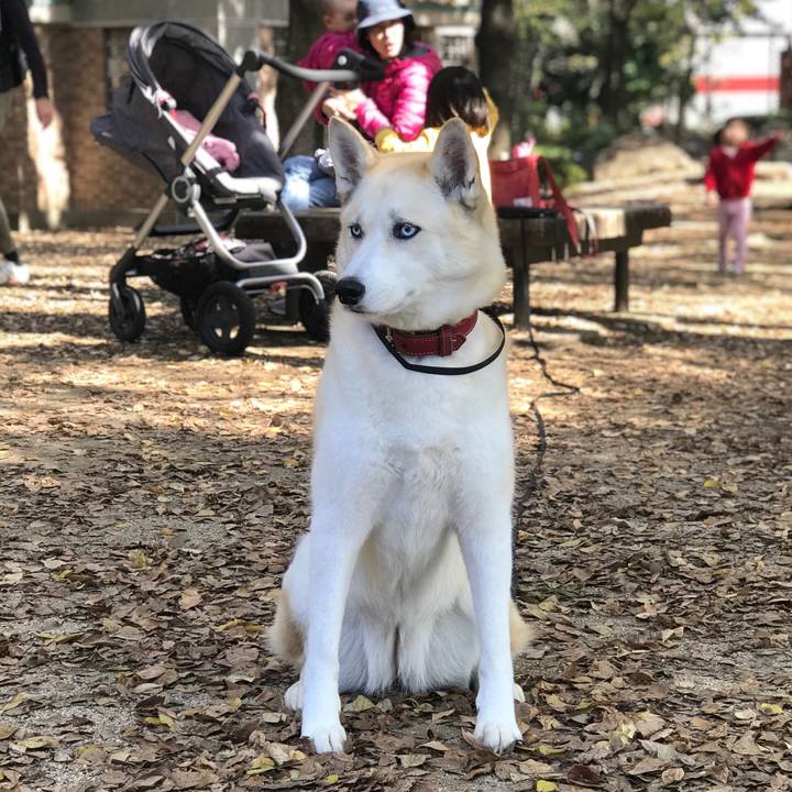 Fbe491c9 fb21 416d a979 d5b08660d543 1542932071560