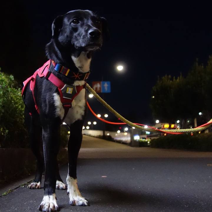 Fbe4a36d 4682 412b b4af 8412961efe1a 1584700431556