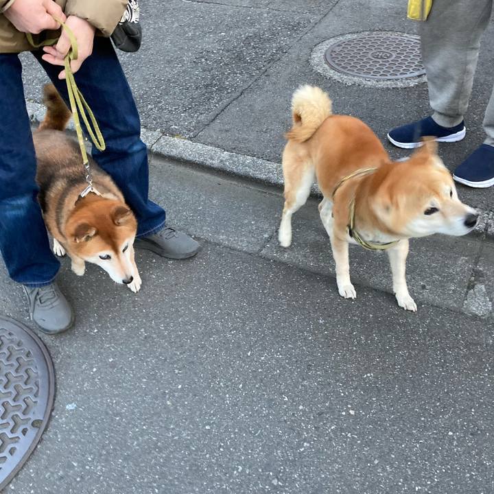 Fbe4ae96 0b47 43a0 a825 9d47d6e7e033 1675598707540