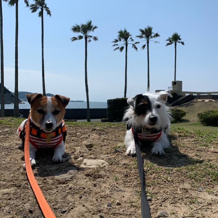 Fbe4bffe cfb5 43c5 a6e2 e182be32d4cc 1585963153449