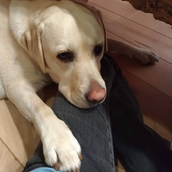 Fbe4c389 b538 4c8c 90b8 290ca72f3a6b 1559522594246