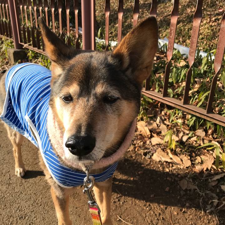 Fbe4ebe7 075e 48e7 a27f 7e54dfc4be21 1517117490434