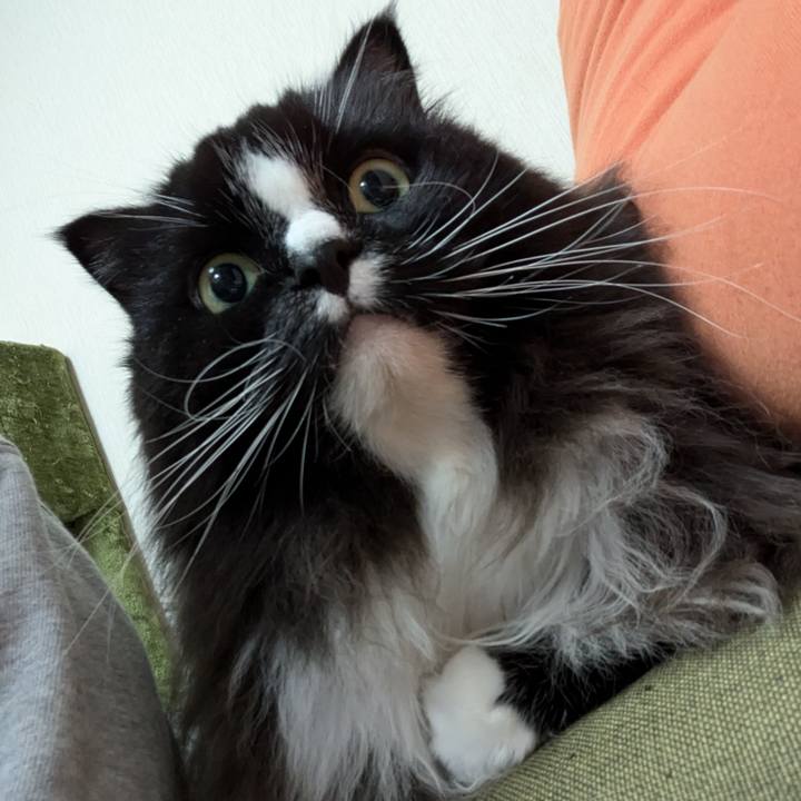 Fbe5303c e0e0 4b4d 9555 54efa536bb1f 1730418597956