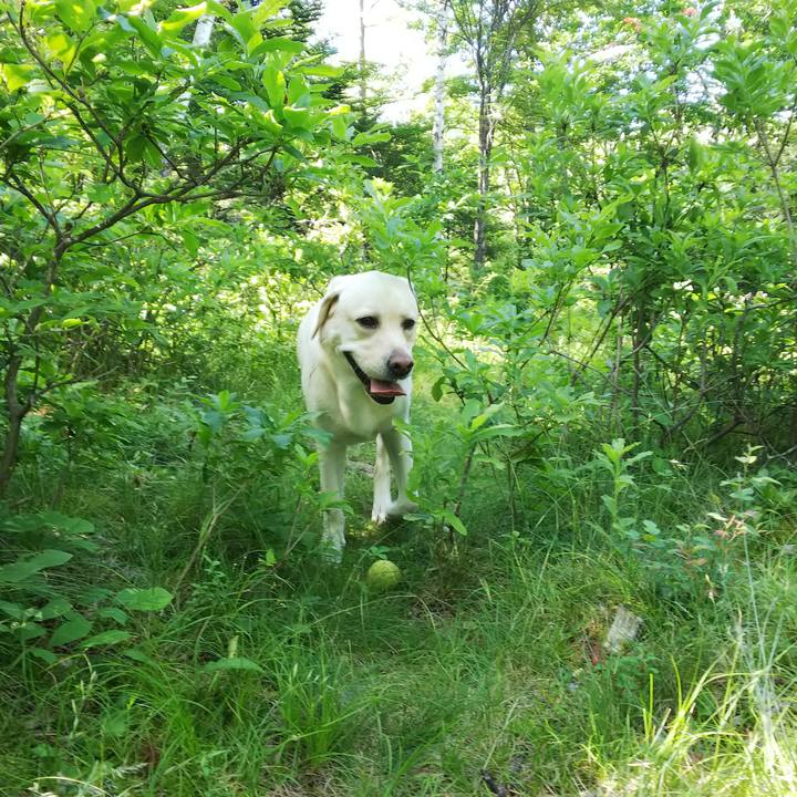 Fbe54dcc 9a67 4427 823f 350103e99035 1531550156029