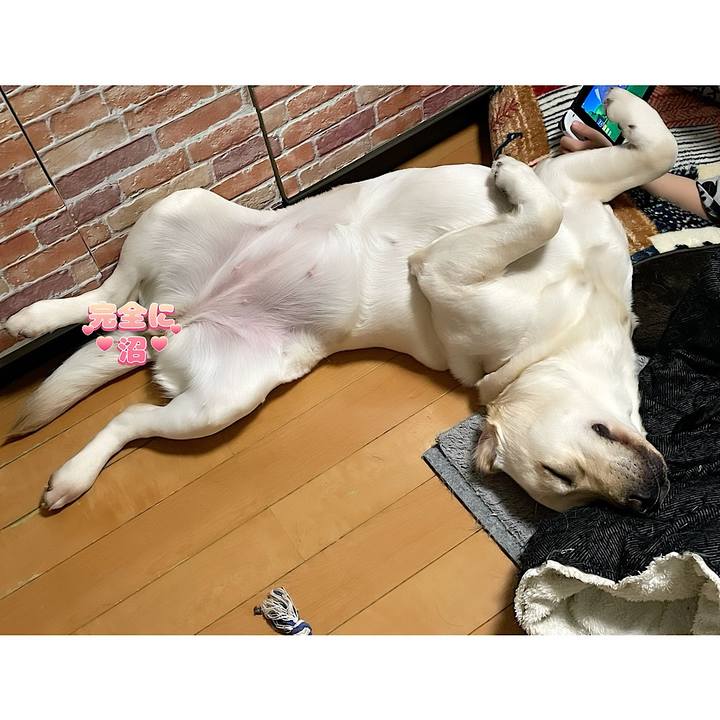 Fbe5528b f829 42b5 b6b7 45a23ce6659e 1648558838392