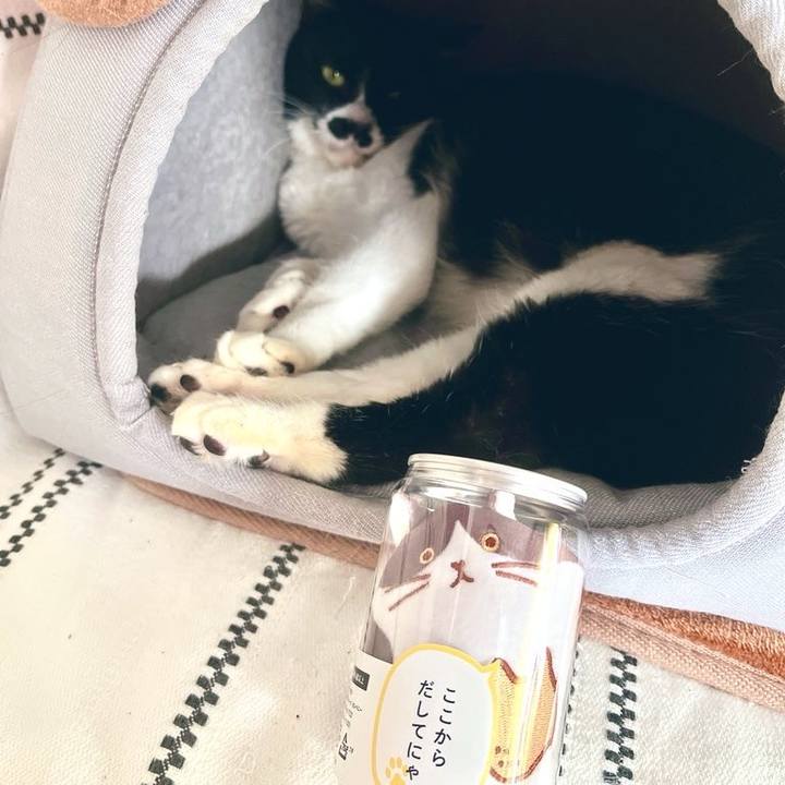 Fbe5909e 109f 4f57 a6ce d3b633b9cc2a 1708779686085