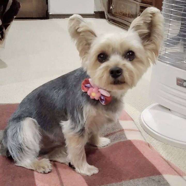 Fbe59216 3778 4b4d b4c2 c8704d373952 1676361474066